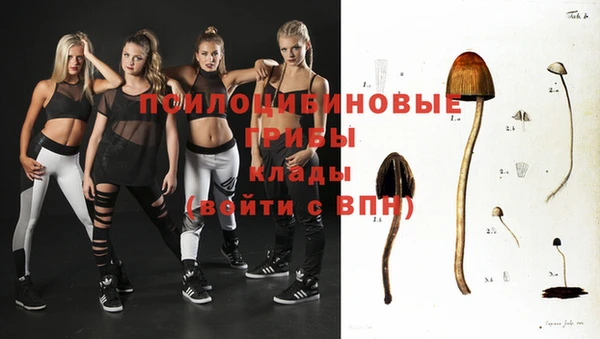 наркотики Богданович