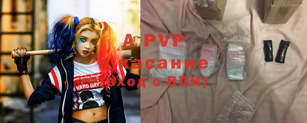 молекула духа Богородицк