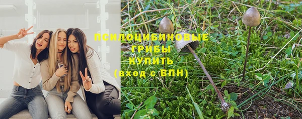 наркотики Богданович