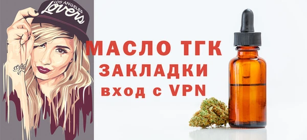 молекула духа Богородицк