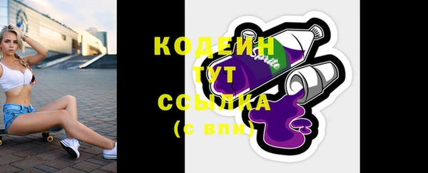 молекула духа Богородицк