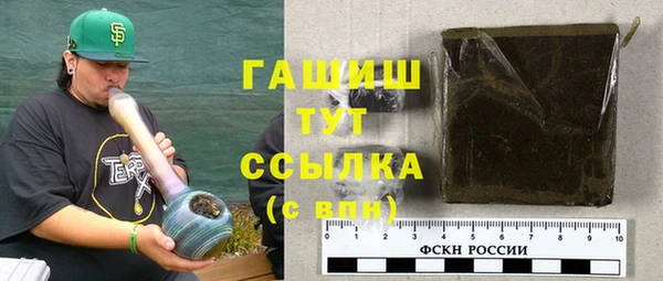 молекула духа Богородицк