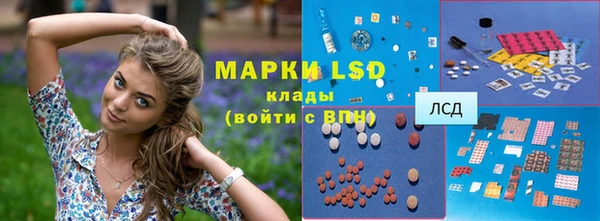 молекула духа Богородицк