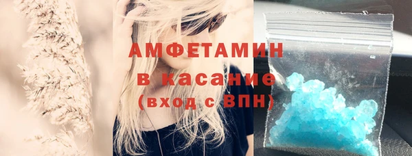 молекула духа Богородицк