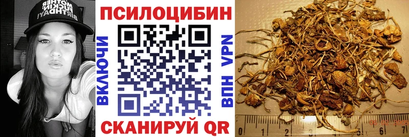 Купить  Лиски  Галлюциногенные грибы Psilocybine cubensis 